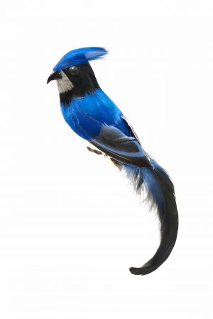 Blue Bluejay Ornament