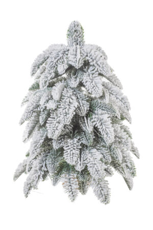 White/Green PE Weeping Frosted Evergreen Table Top Tree with Wooden Base
