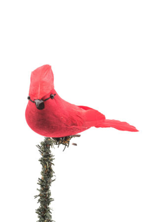 Red Foam Clip-On Cardinal Ornament