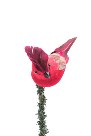 Red Foam Clip-On Cardinal Ornament with Summer Coat