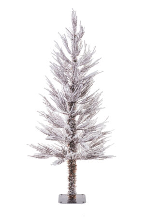 Green Christmas Trees