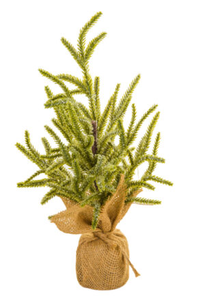 Petite Frosted Green Christmas Tree