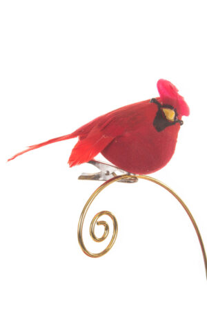 Grumpy Perched Red Clip-on Cardinal Ornament