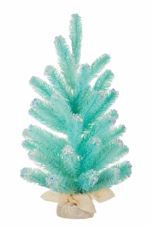 Sky Blue Concolor Fir Table Top Tree