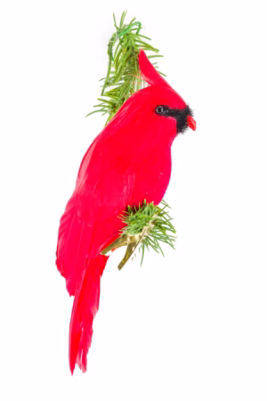 Red Cardinal Ornament