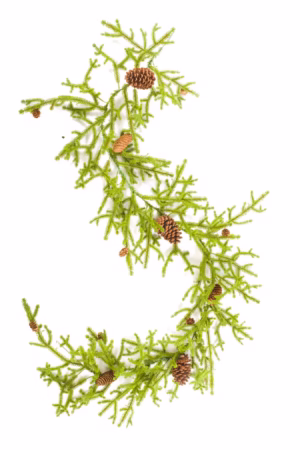 Hangable Green Norway Spruce Garland