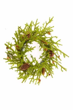 Hanging Forest Green Norway Spruce Wreath