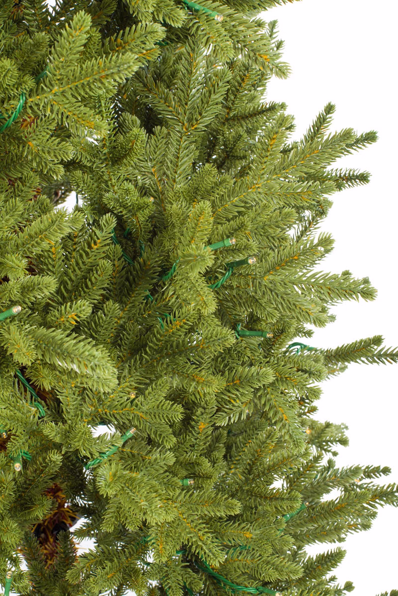 Forest Green Douglas Fir LED Tree - Image 3